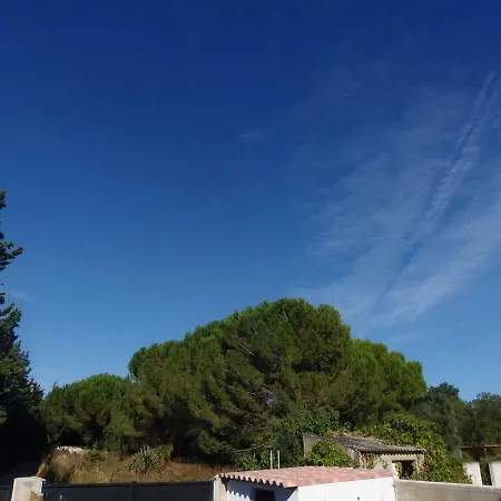 Joli Mazet Entre Montpellier Et Nimes Apartment Aimargues Exterior photo