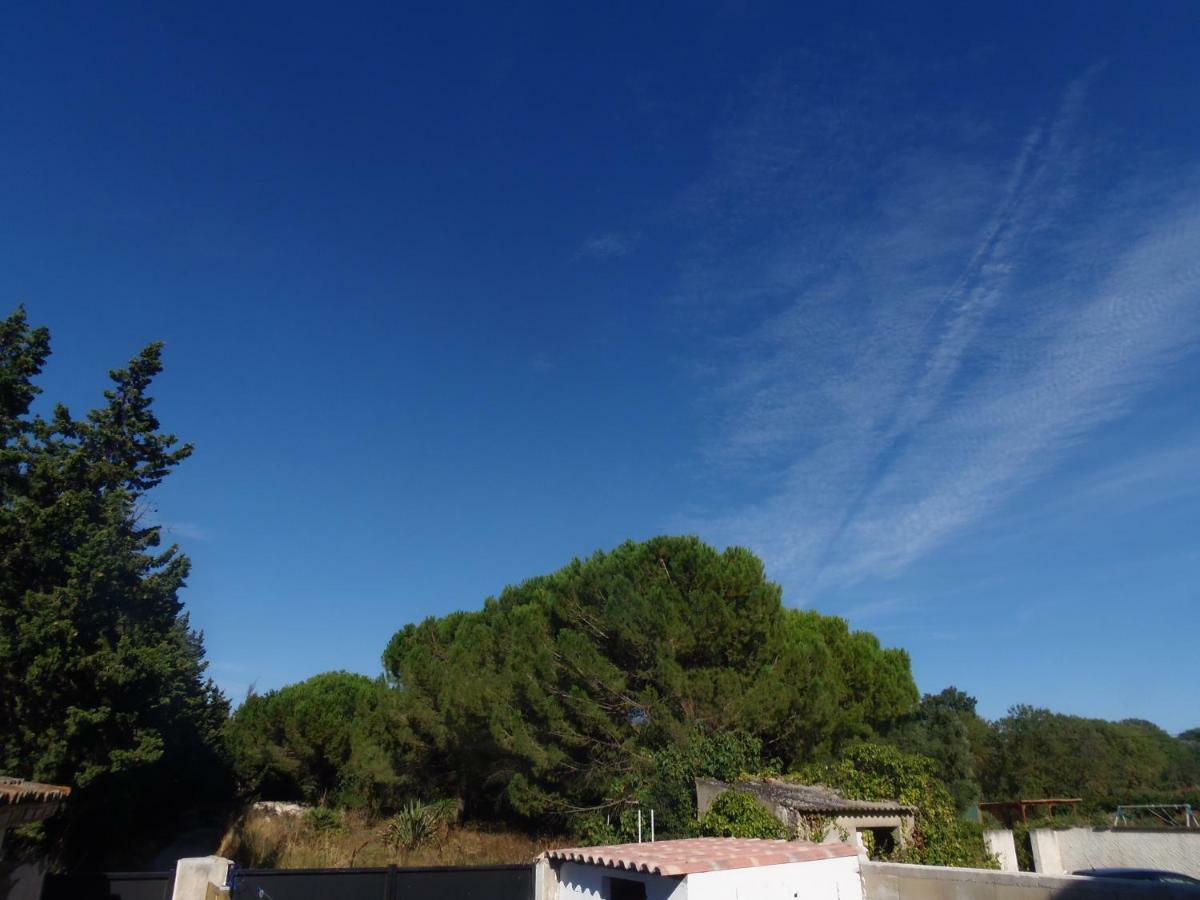 Joli Mazet Entre Montpellier Et Nimes * Aimargues